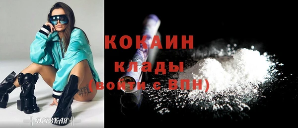 индика Бугульма
