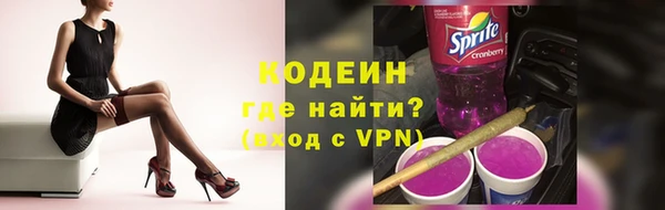 ПСИЛОЦИБИНОВЫЕ ГРИБЫ Богданович