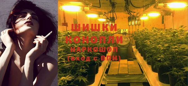 бошки Бронницы