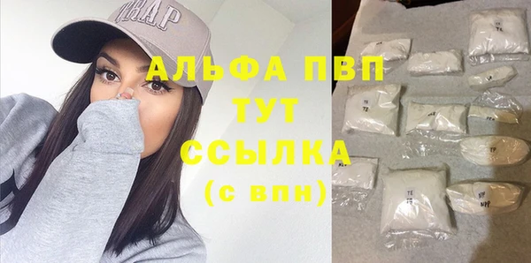 индика Бугульма