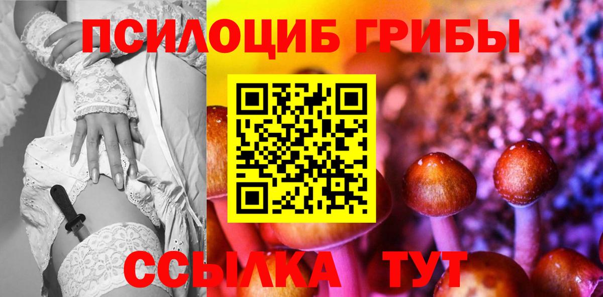 Галлюциногенные грибы прущие грибы  Вход с VPN  Псилоцибиновые грибы Psilocybine cubensis  Кушва 
