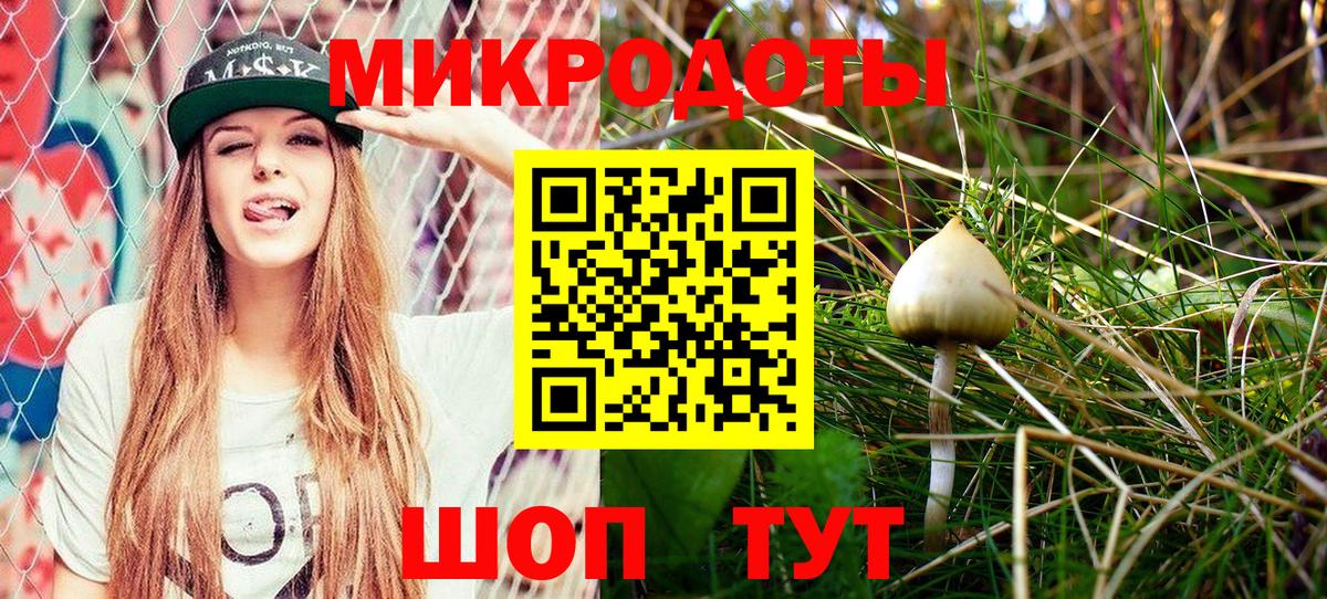 Псилоцибиновые грибы Кушва