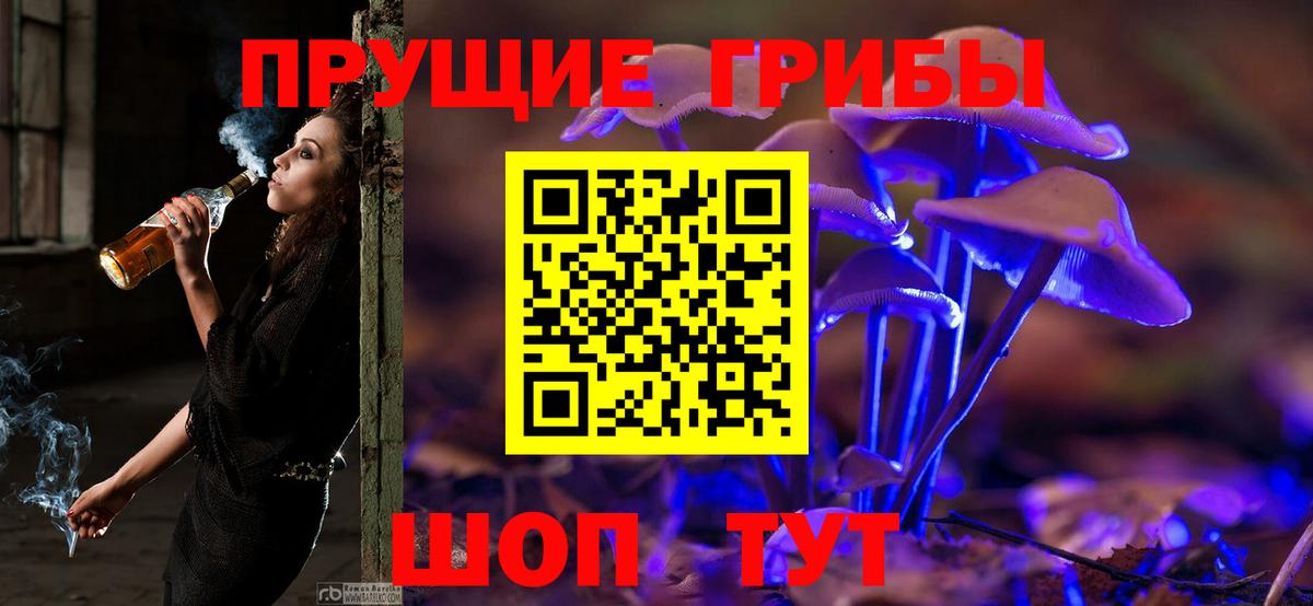 Псилоцибиновые грибы GOLDEN TEACHER Кушва