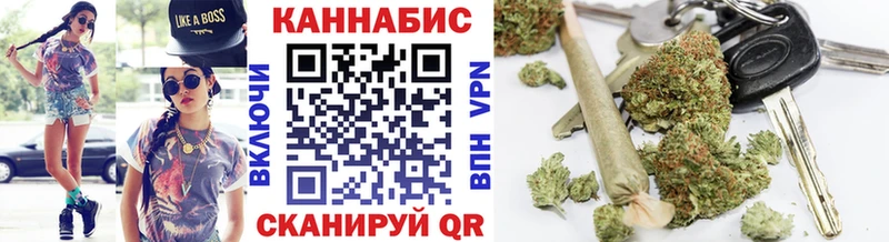 Канабис гибрид  Кушва 