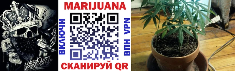 Конопля конопля Кушва